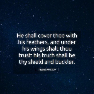 Picture 05 - Psalms 91:4 KJV - He shall cover thee with his feathers, and under - Bible Verse Picture