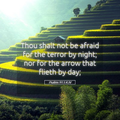 Picture 05 - Psalms 91:5 KJV - Thou shalt not be afraid for the terror by night; - Bible Verse Picture