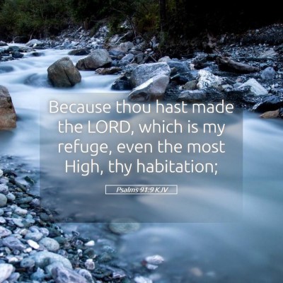 Picture 05 - Psalms 91:9 KJV - Because thou hast made the LORD, which is my - Bible Verse Picture