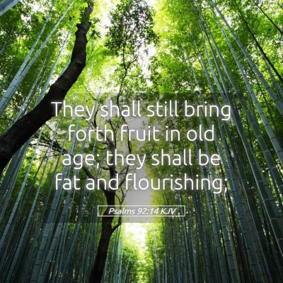 Picture 05 - Psalms 92:14 KJV - They shall still bring forth fruit in old age; - Bible Verse Picture