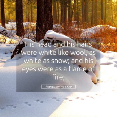 Picture 05 - Revelation 1:14 KJV - His head and his hairs were white like wool, as - Bible Verse Picture