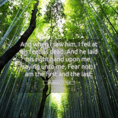 Picture 05 - Revelation 1:17 KJV - And when I saw him, I fell at his feet as dead. - Bible Verse Picture