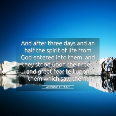 Picture 05 - Revelation 11:11 KJV - And after three days and an half the spirit of - Bible Verse Picture