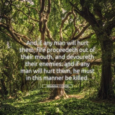 Picture 05 - Revelation 11:5 KJV - And if any man will hurt them, fire proceedeth - Bible Verse Picture