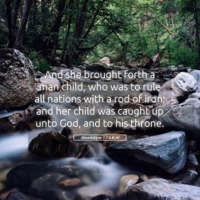 Picture 05 - Revelation 12:5 KJV - And she brought forth a man child, who was to - Bible Verse Picture