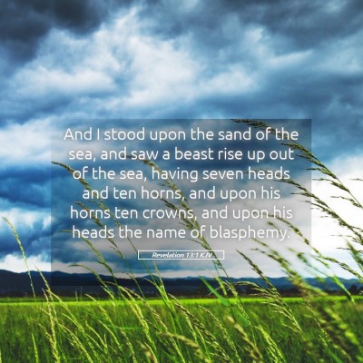 Picture 05 - Revelation 13:1 KJV - And I stood upon the sand of the sea, and saw a - Bible Verse Picture