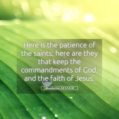 Picture 05 - Revelation 14:12 KJV - Here is the patience of the saints: here are they - Bible Verse Picture