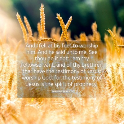 Picture 05 - Revelation 19:10 KJV - And I fell at his feet to worship him. And he - Bible Verse Picture