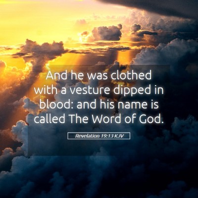 Picture 05 - Revelation 19:13 KJV - And he was clothed with a vesture dipped in - Bible Verse Picture