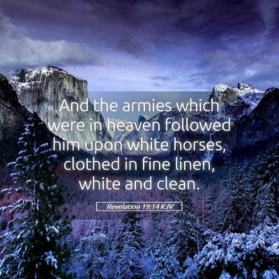 Picture 05 - Revelation 19:14 KJV - And the armies which were in heaven followed him - Bible Verse Picture
