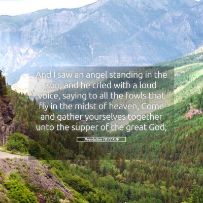 Picture 05 - Revelation 19:17 KJV - And I saw an angel standing in the sun; and he - Bible Verse Picture