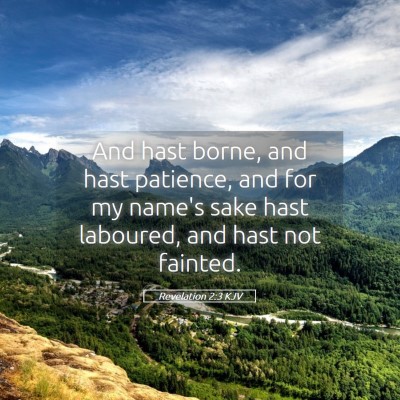 Picture 05 - Revelation 2:3 KJV - And hast borne, and hast patience, and for my - Bible Verse Picture