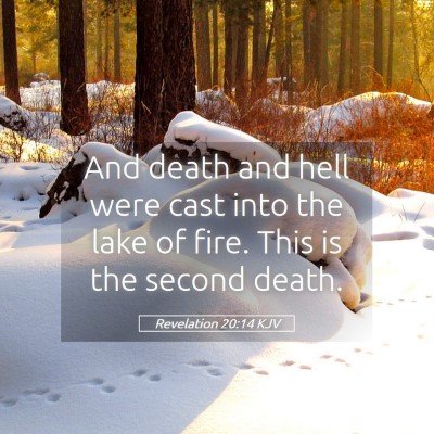 Picture 05 - Revelation 20:14 KJV - And death and hell were cast into the lake of - Bible Verse Picture