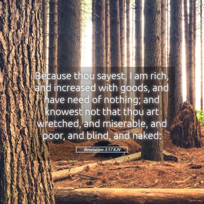 Picture 05 - Revelation 3:17 KJV - Because thou sayest, I am rich, and increased - Bible Verse Picture