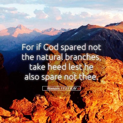 Picture 05 - Romans 11:21 KJV - For if God spared not the natural branches, take - Bible Verse Picture
