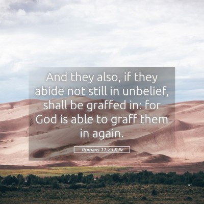 Picture 05 - Romans 11:23 KJV - And they also, if they abide not still in - Bible Verse Picture