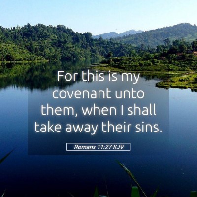 Picture 05 - Romans 11:27 KJV - For this is my covenant unto them, when I shall - Bible Verse Picture