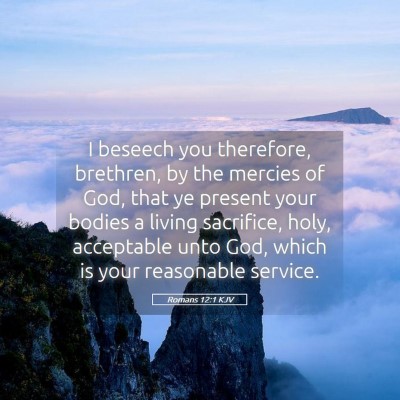 Picture 05 - Romans 12:1 KJV - I beseech you therefore, brethren, by the mercies - Bible Verse Picture