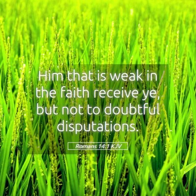 Picture 05 - Romans 14:1 KJV - Him that is weak in the faith receive ye, but not - Bible Verse Picture