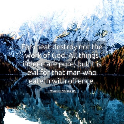 Picture 05 - Romans 14:20 KJV - For meat destroy not the work of God. All things - Bible Verse Picture