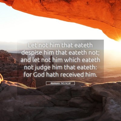 Picture 05 - Romans 14:3 KJV - Let not him that eateth despise him that eateth - Bible Verse Picture