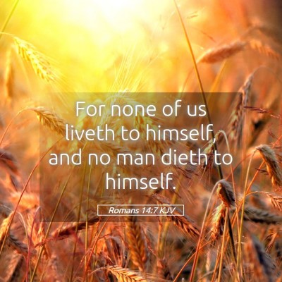 Picture 05 - Romans 14:7 KJV - For none of us liveth to himself, and no man - Bible Verse Picture