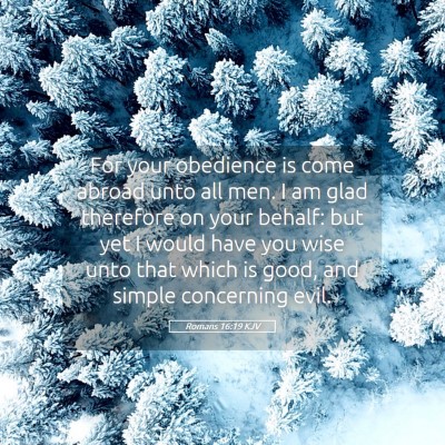 Picture 05 - Romans 16:19 KJV - For your obedience is come abroad unto all men. I - Bible Verse Picture