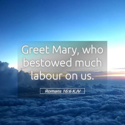 Picture 05 - Romans 16:6 KJV - Greet Mary, who bestowed much labour on - Bible Verse Picture