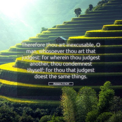Picture 05 - Romans 2:1 KJV - Therefore thou art inexcusable, O man, whosoever - Bible Verse Picture