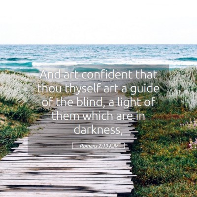 Picture 05 - Romans 2:19 KJV - And art confident that thou thyself art a guide - Bible Verse Picture