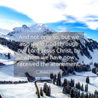 Picture 05 - Romans 5:11 KJV - And not only so, but we also joy in God through - Bible Verse Picture