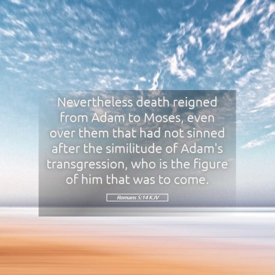 Picture 05 - Romans 5:14 KJV - Nevertheless death reigned from Adam to Moses, - Bible Verse Picture