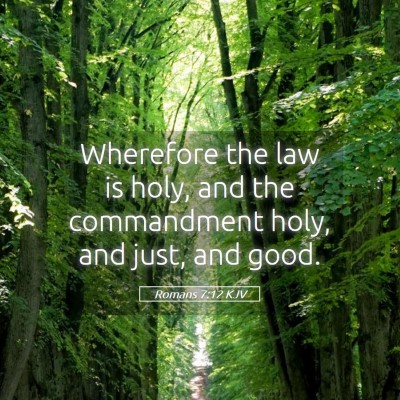Picture 05 - Romans 7:12 KJV - Wherefore the law is holy, and the commandment - Bible Verse Picture