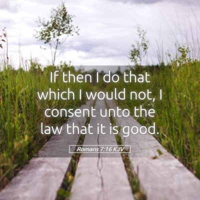 Picture 05 - Romans 7:16 KJV - If then I do that which I would not, I consent - Bible Verse Picture