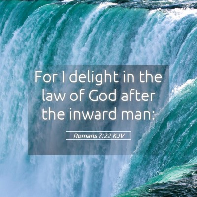 Picture 05 - Romans 7:22 KJV - For I delight in the law of God after the inward - Bible Verse Picture