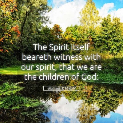 Picture 05 - Romans 8:16 KJV - The Spirit itself beareth witness with our - Bible Verse Picture