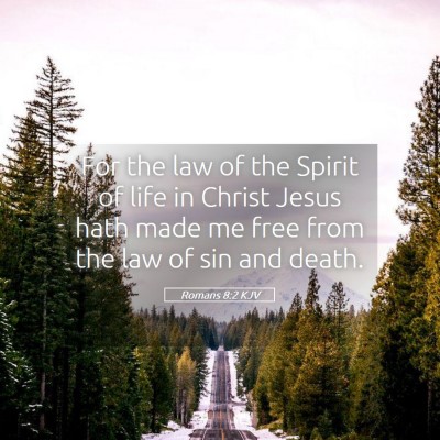 Picture 05 - Romans 8:2 KJV - For the law of the Spirit of life in Christ Jesus - Bible Verse Picture