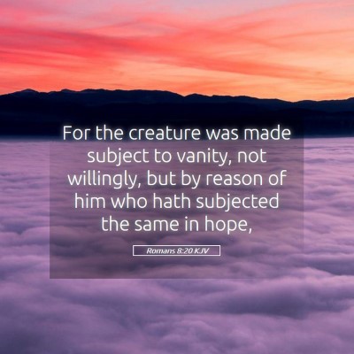 Picture 05 - Romans 8:20 KJV - For the creature was made subject to vanity, not - Bible Verse Picture