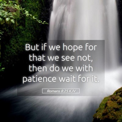 Picture 05 - Romans 8:25 KJV - But if we hope for that we see not, then do we - Bible Verse Picture