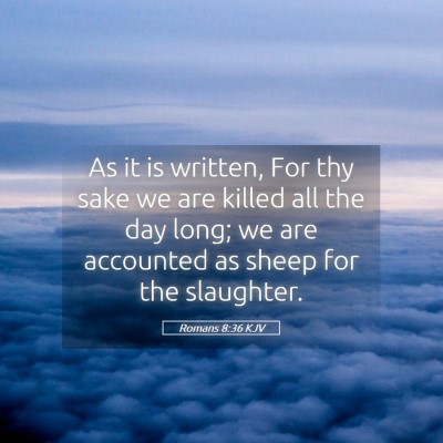Picture 05 - Romans 8:36 KJV - As it is written, For thy sake we are killed all - Bible Verse Picture