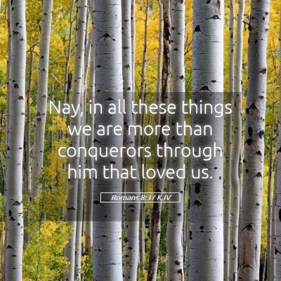 Picture 05 - Romans 8:37 KJV - Nay, in all these things we are more than - Bible Verse Picture