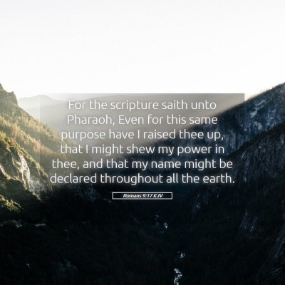 Picture 05 - Romans 9:17 KJV - For the scripture saith unto Pharaoh, Even for - Bible Verse Picture