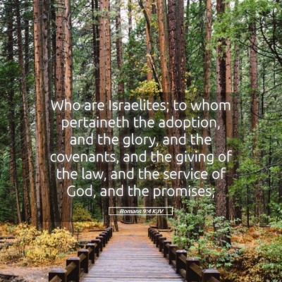 Picture 05 - Romans 9:4 KJV - Who are Israelites; to whom pertaineth the - Bible Verse Picture
