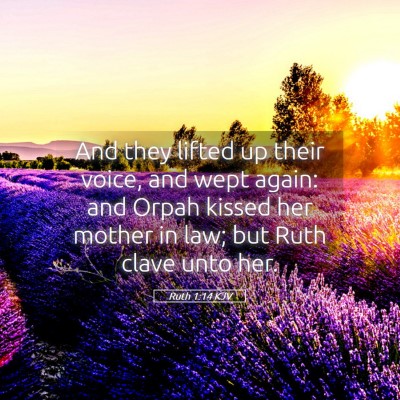Picture 05 - Ruth 1:14 KJV - And they lifted up their voice, and wept again: - Bible Verse Picture