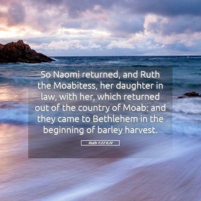 Picture 05 - Ruth 1:22 KJV - So Naomi returned, and Ruth the Moabitess, her - Bible Verse Picture