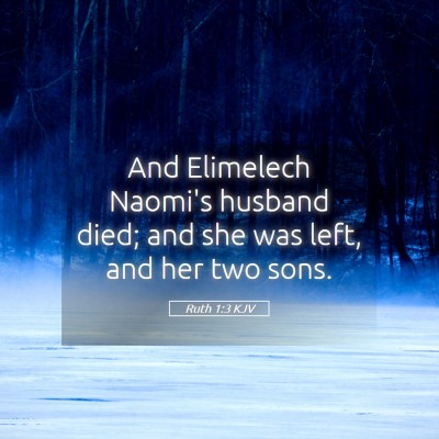 Picture 05 - Ruth 1:3 KJV - And Elimelech Naomi's husband died; and she was - Bible Verse Picture