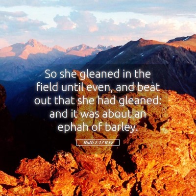 Picture 05 - Ruth 2:17 KJV - So she gleaned in the field until even, and beat - Bible Verse Picture