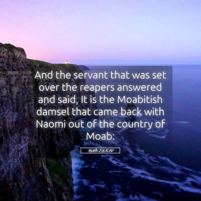 Picture 05 - Ruth 2:6 KJV - And the servant that was set over the reapers - Bible Verse Picture