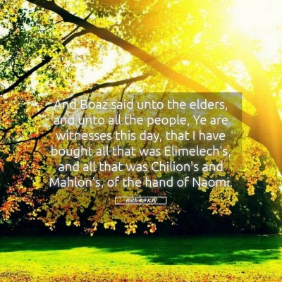 Picture 05 - Ruth 4:9 KJV - And Boaz said unto the elders, and unto all the - Bible Verse Picture