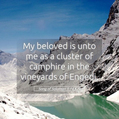 Picture 05 - Song of Solomon 1:14 KJV - My beloved is unto me as a cluster of camphire in - Bible Verse Picture